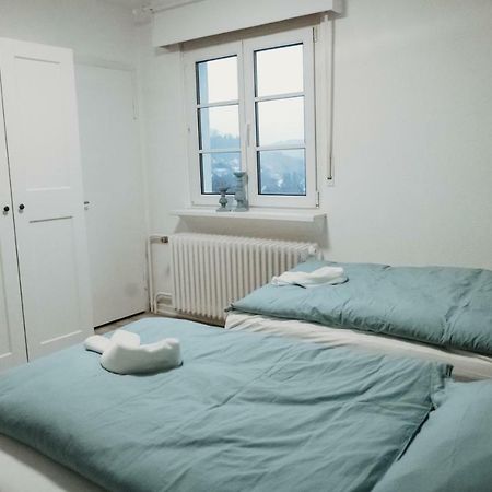 Ferienhaus Schneeweiss 빈터베르크 외부 사진