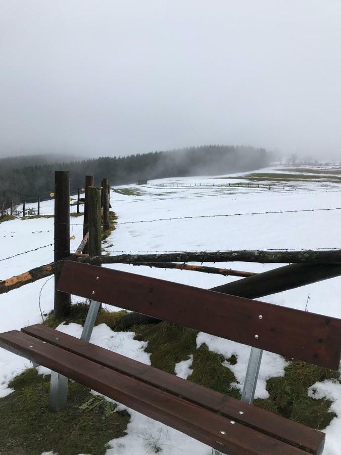 Ferienhaus Schneeweiss 빈터베르크 외부 사진