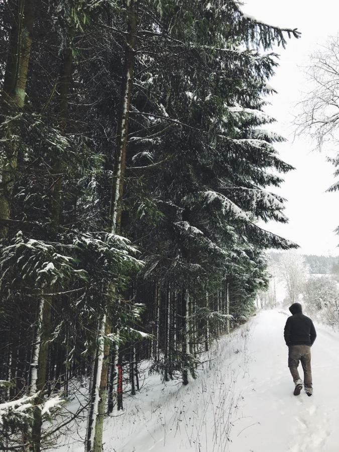 Ferienhaus Schneeweiss 빈터베르크 외부 사진